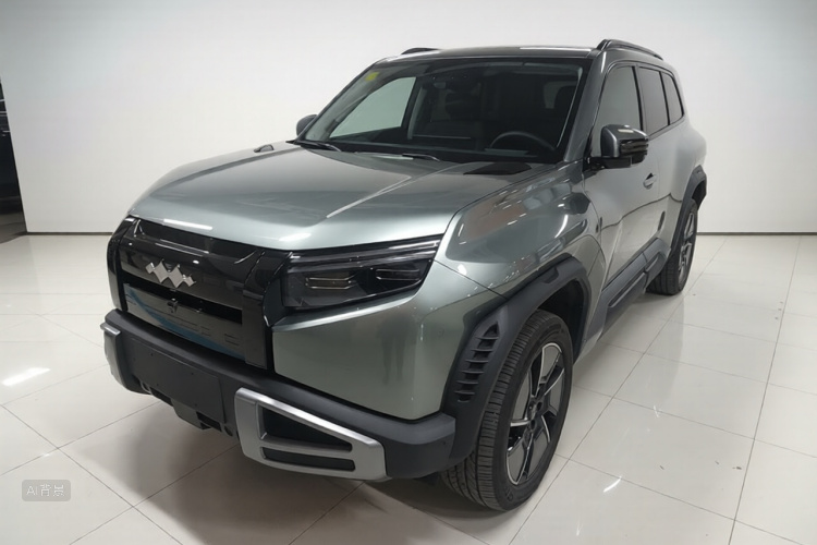 FangChengBao Tiger 3 2025 car image #2