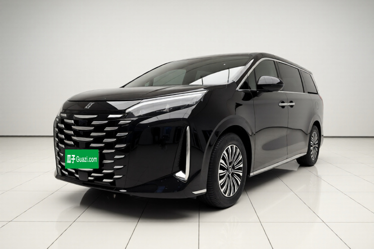 BYD Xia 2025 imagen de coche #2