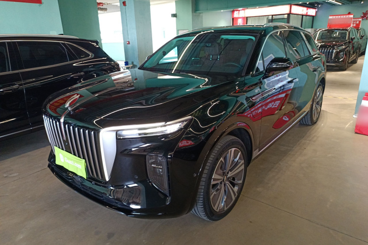 HongQi E-HS9 2021 صورة سيارة #2
