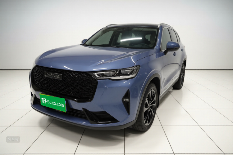 Haval H6 2021 immagine di auto #2