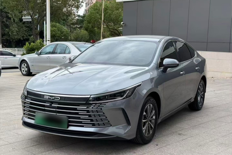 BYD Destroyer 05 2023 imagen de coche #2