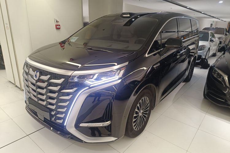 Denza D9 2025 immagine di auto #2