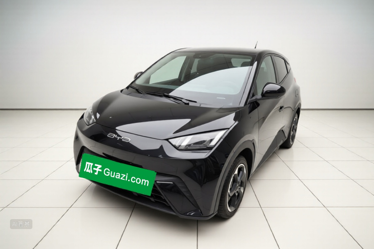 BYD Seagull 2023 car image #2