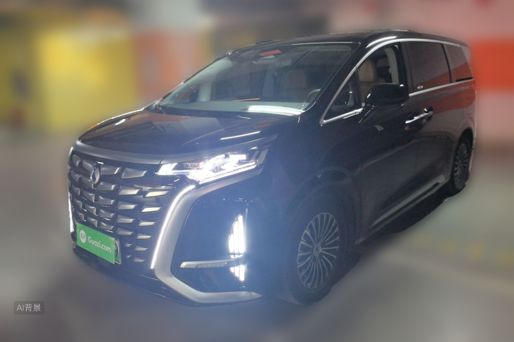 Denza D9 2023 صورة سيارة #2