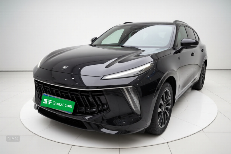 T5 EVO 2021 car image #2
