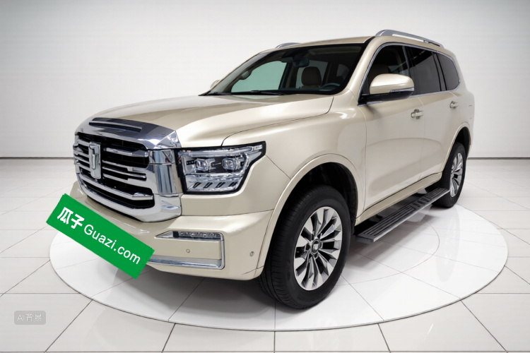 Tank 500 2023 immagine di auto #2