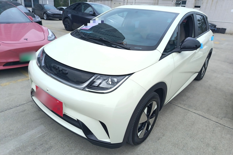 BYD Dolphin 2024 car image #2