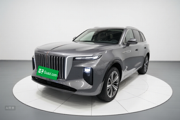 HongQi E-HS9 2023 car image #2