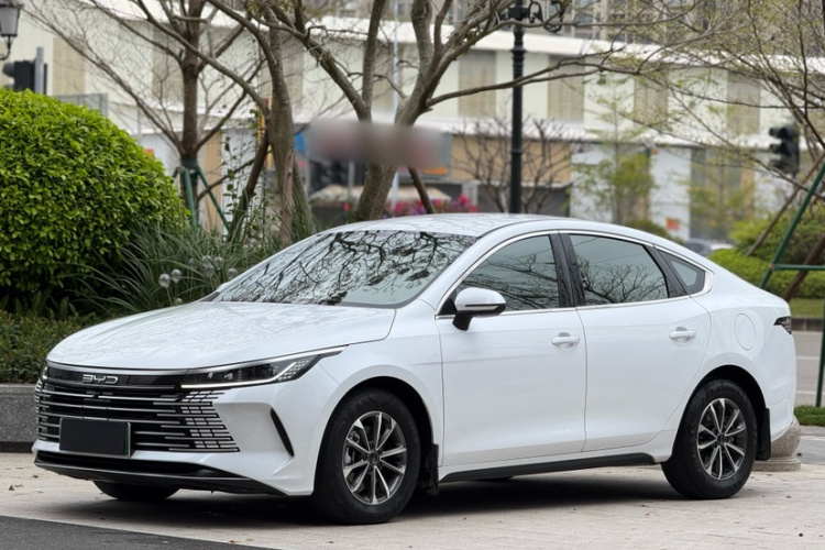 BYD Destroyer 05 2024 imagen de coche #2