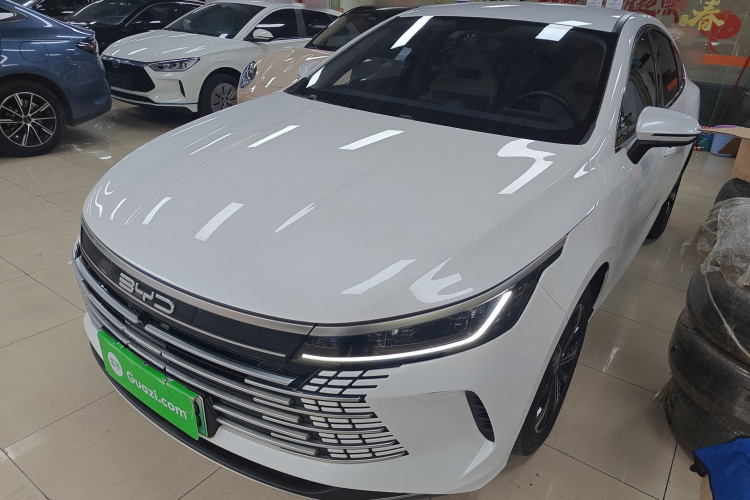 BYD Destroyer 05 2023 imagen de coche #2