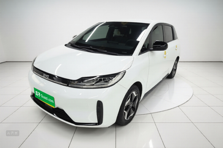 BYD D1 2023 imagen de coche #2