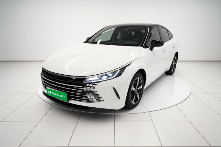 BYD Destroyer 05 2023 car image #2