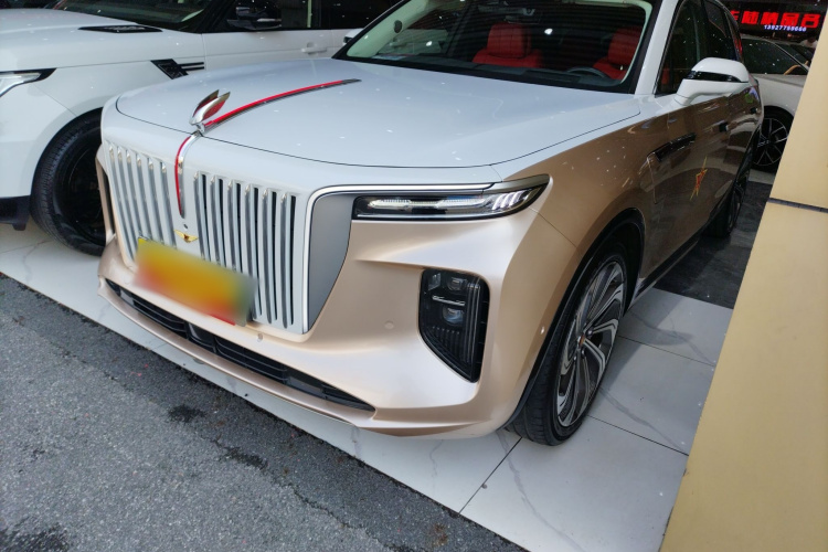 HongQi E-HS9 2021 imagem de carro #2