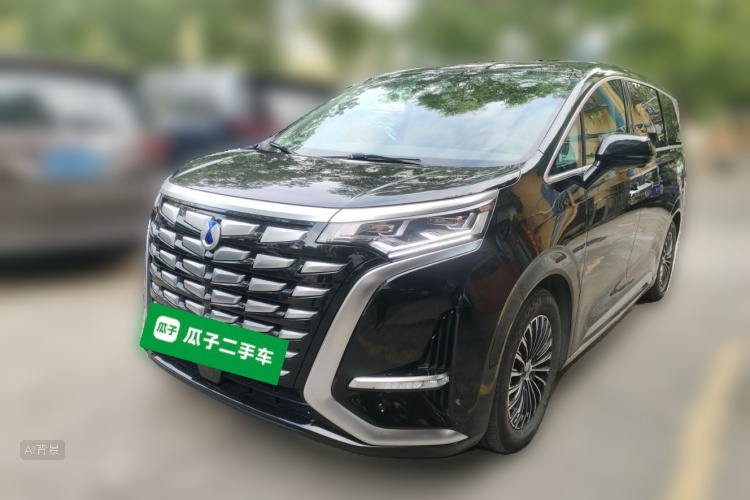 Denza D9 2023 imagem de carro #2