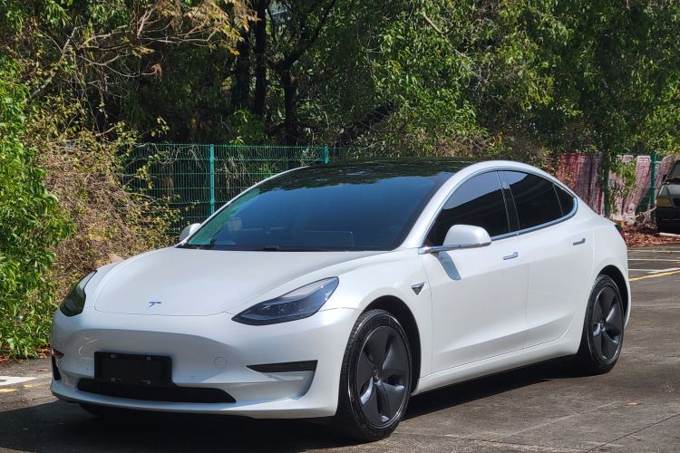 特斯拉 Model 3 2021 汽车图片 #2