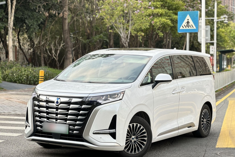 Denza D9 2023 imagem de carro #2