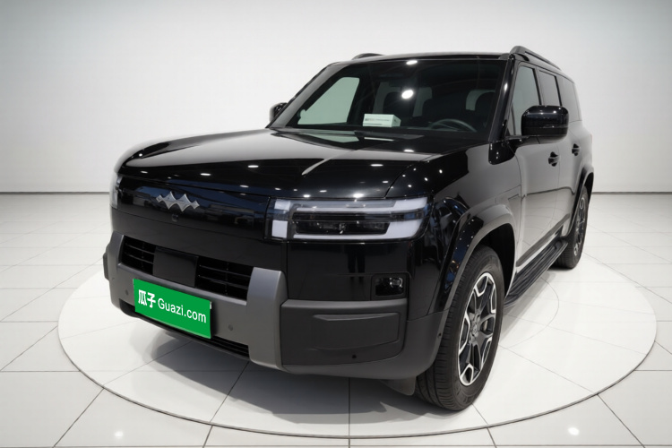 FangChengBao Tiger 7 2025 car image #2