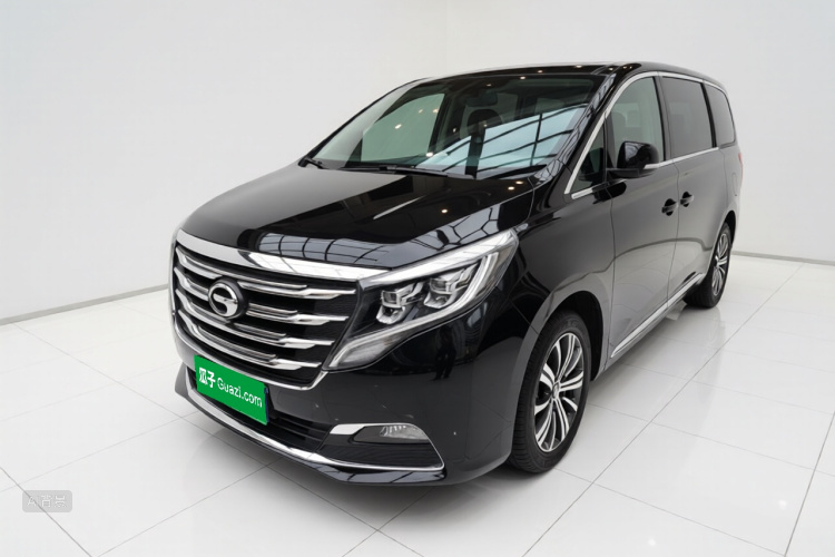 GAC Trumpchi M8 2019 car image #2