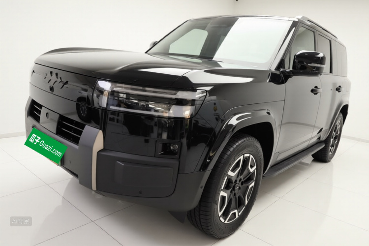 FangChengBao Tiger 7 2025 immagine di auto #2