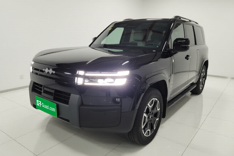 FangChengBao Tiger 7 2025 изображение автомобиля #2