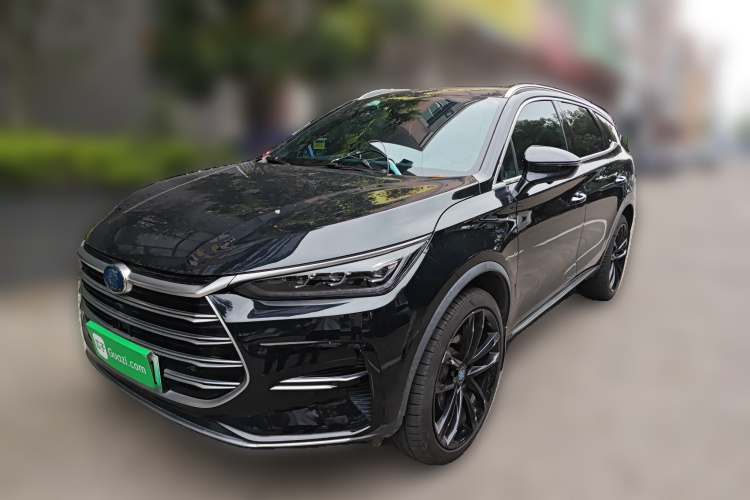 BYD Tang New Energy 2021 car image #2