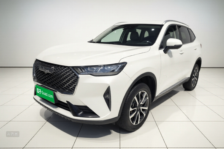 Haval H6 2023 immagine di auto #2
