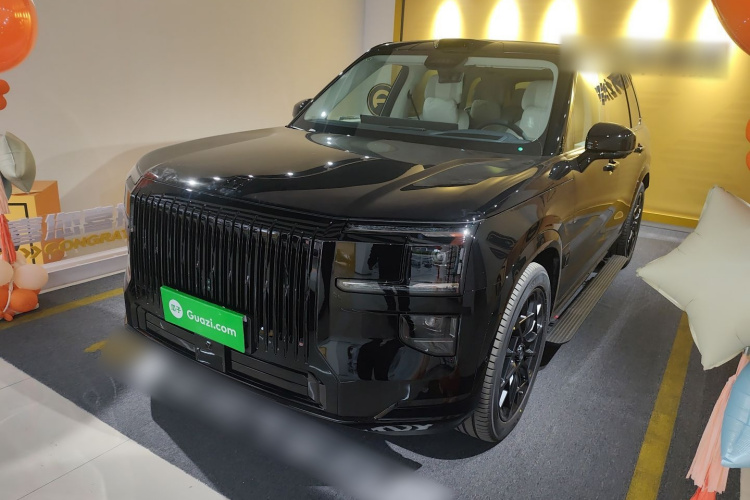 极氪 极氪9X 2026 汽车图片 #2