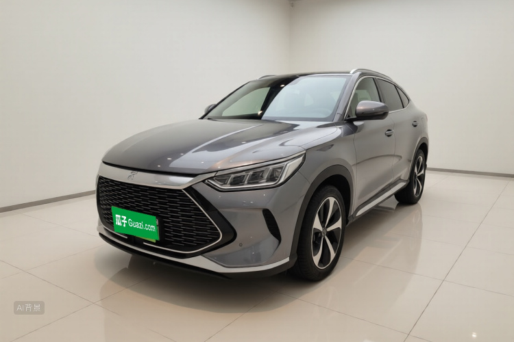 BYD Song Plus New Energy 2021 car image #2