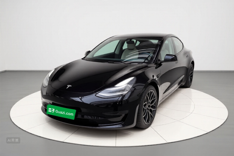 Tesla Model 3 2022 immagine di auto #2