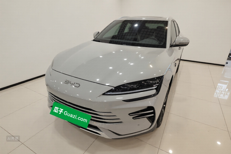 BYD Song Plus New Energy 2025 immagine di auto #2