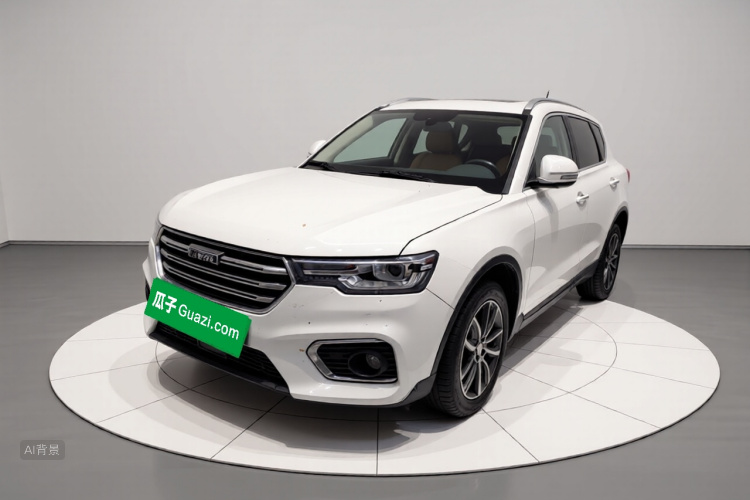 哈弗 哈弗H7 2020 汽车图片 #2