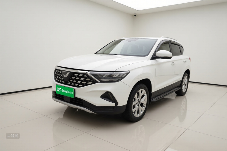 VS5 2019 car image #2