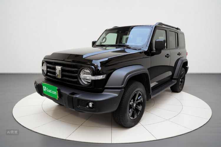 Tank 300 2026 immagine di auto #2