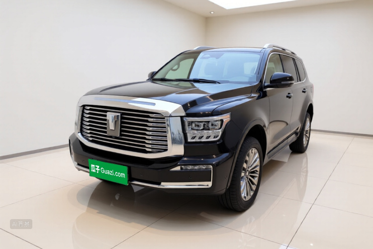 Tank 500 2023 immagine di auto #2