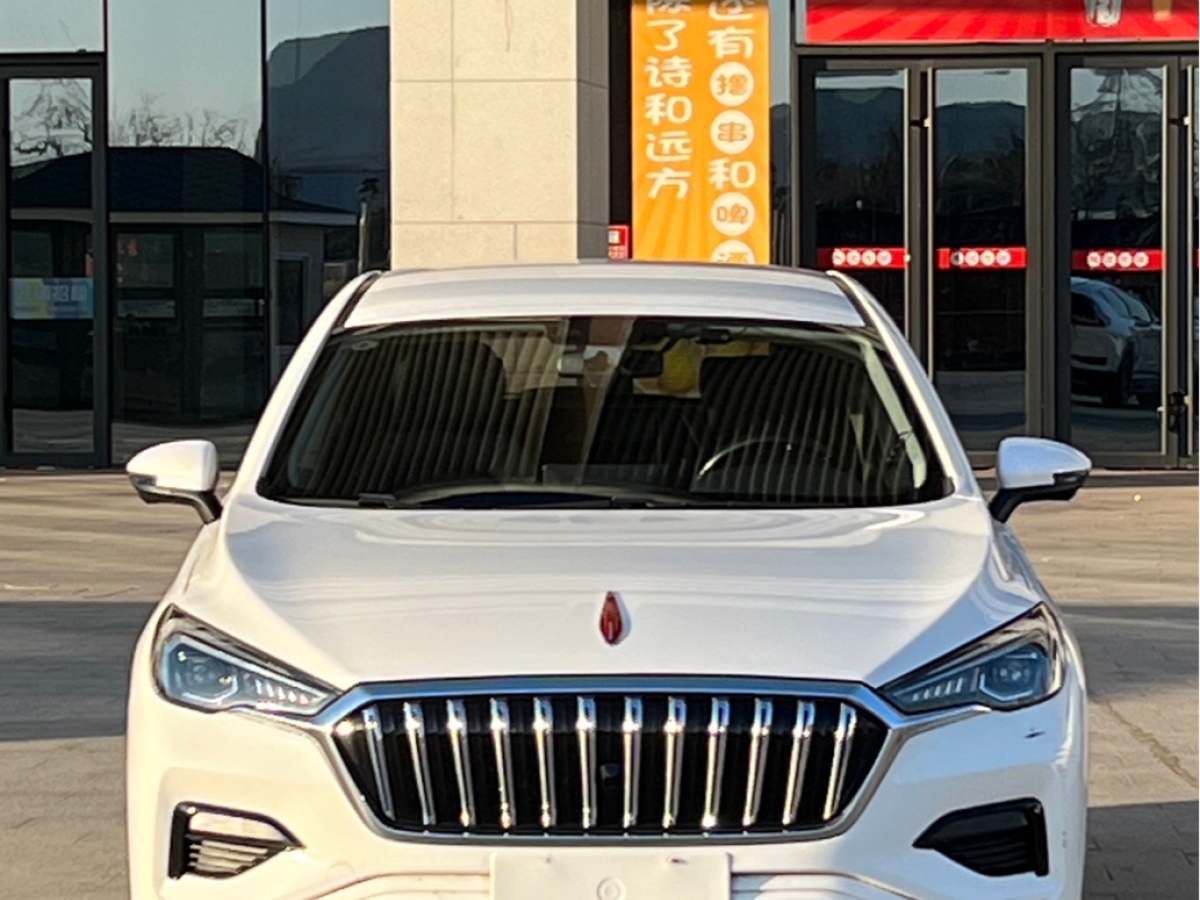 HongQi E-HS3 2021 #2 HongQi E-HS3 2021 car image #2