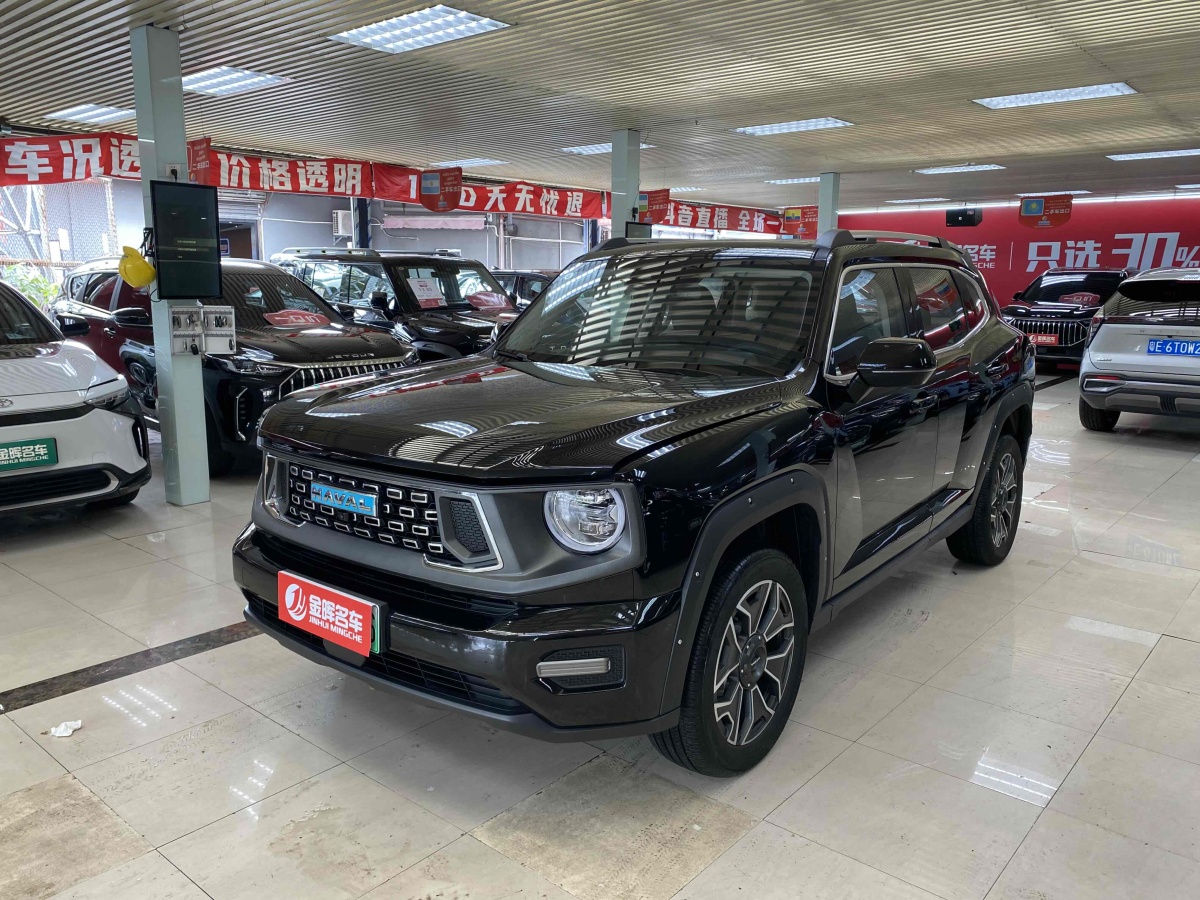 Haval X Dog 2 New Energy 2024 car image #2