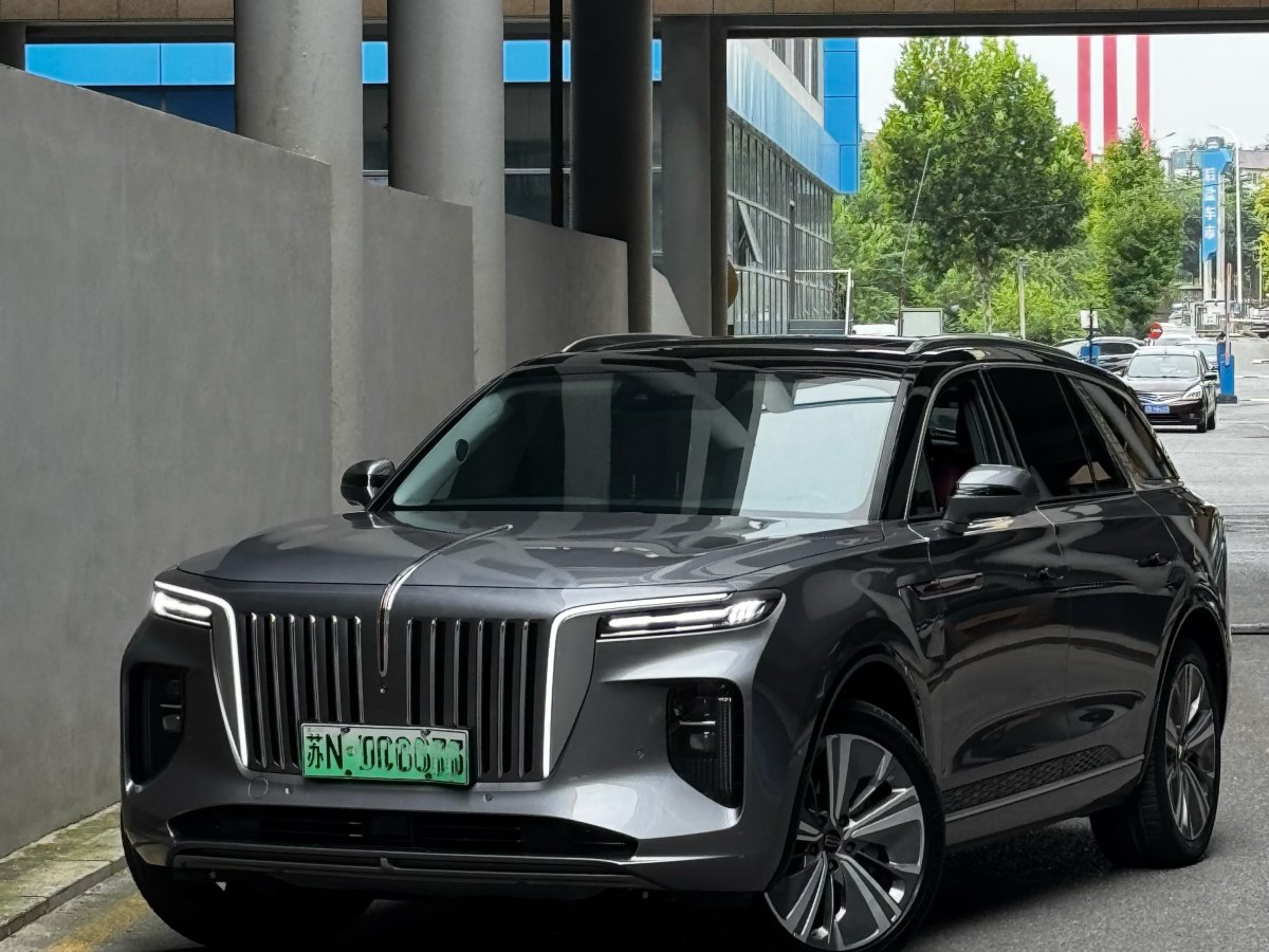 HongQi E-HS9 2021 #2 HongQi E-HS9 2021 immagine di auto #2