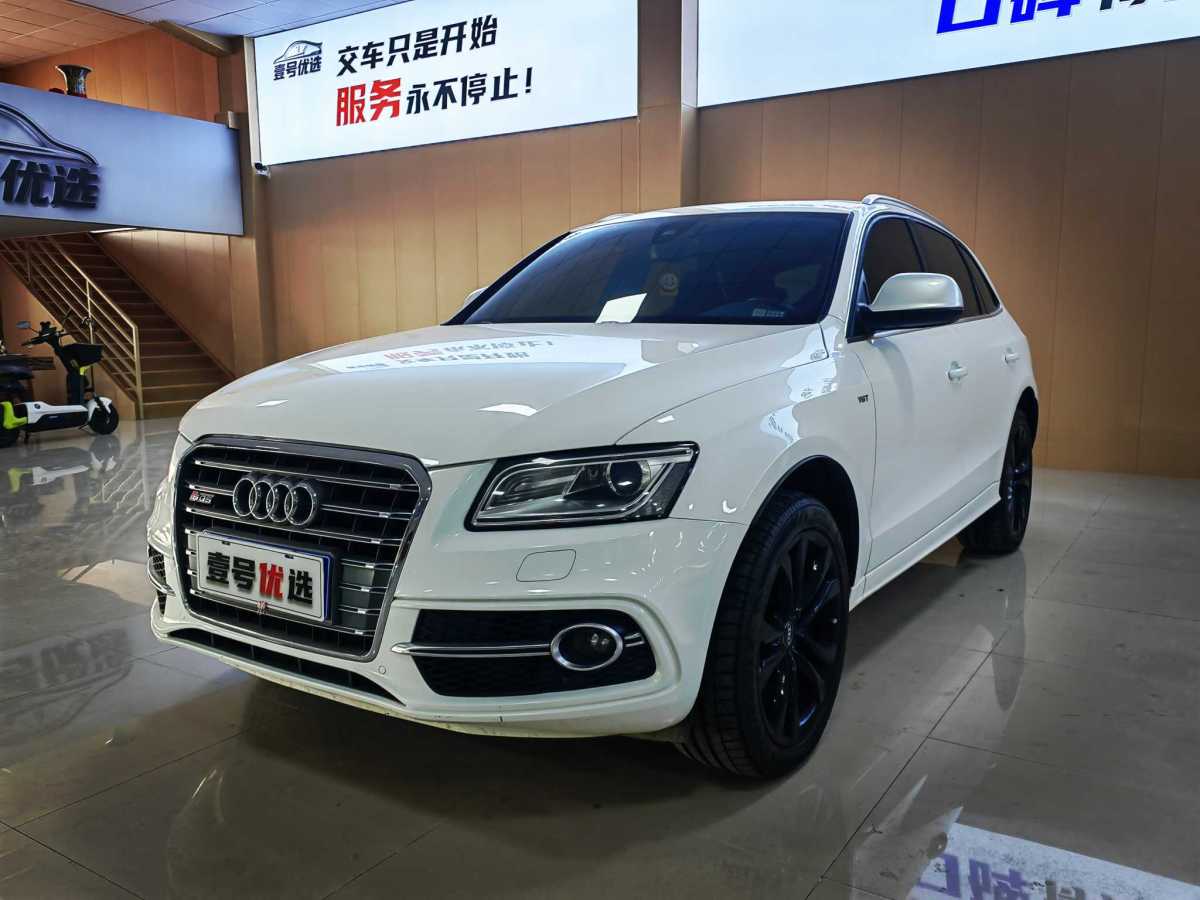 Audi SQ5 2013 #2 Audi SQ5 2013 imagen de coche #2