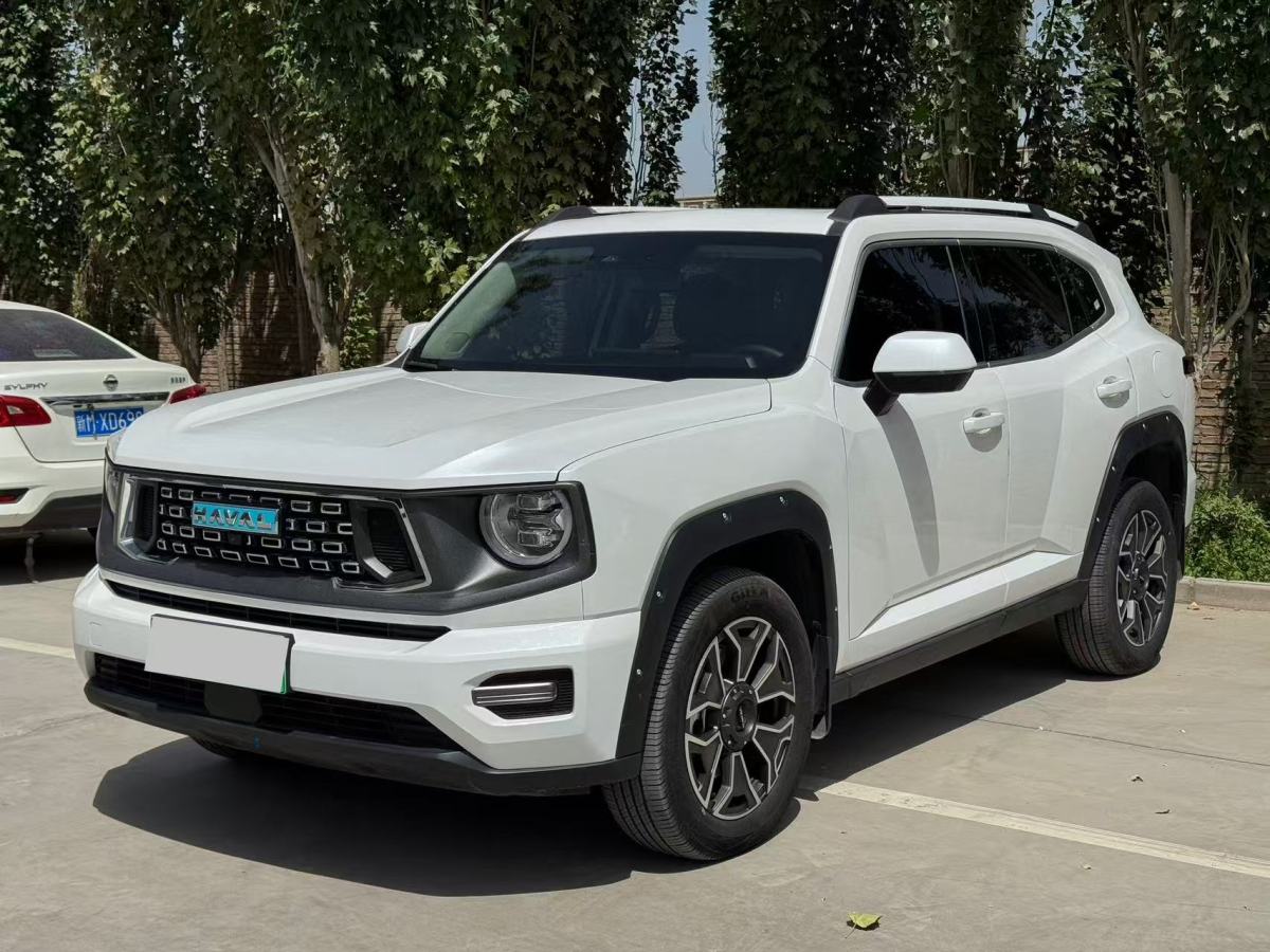 Haval X Dog 2 New Energy 2023 car image #2