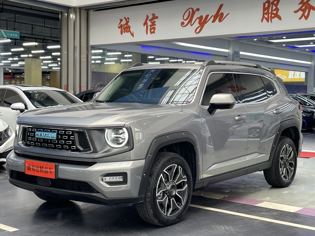 Haval X Dog 2 New Energy 2024 car image #2