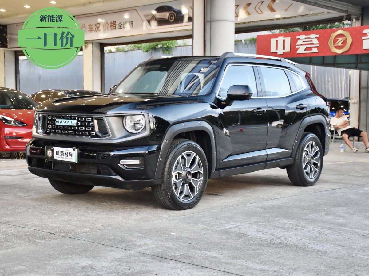 Haval X Dog 2 New Energy 2023 car image #2