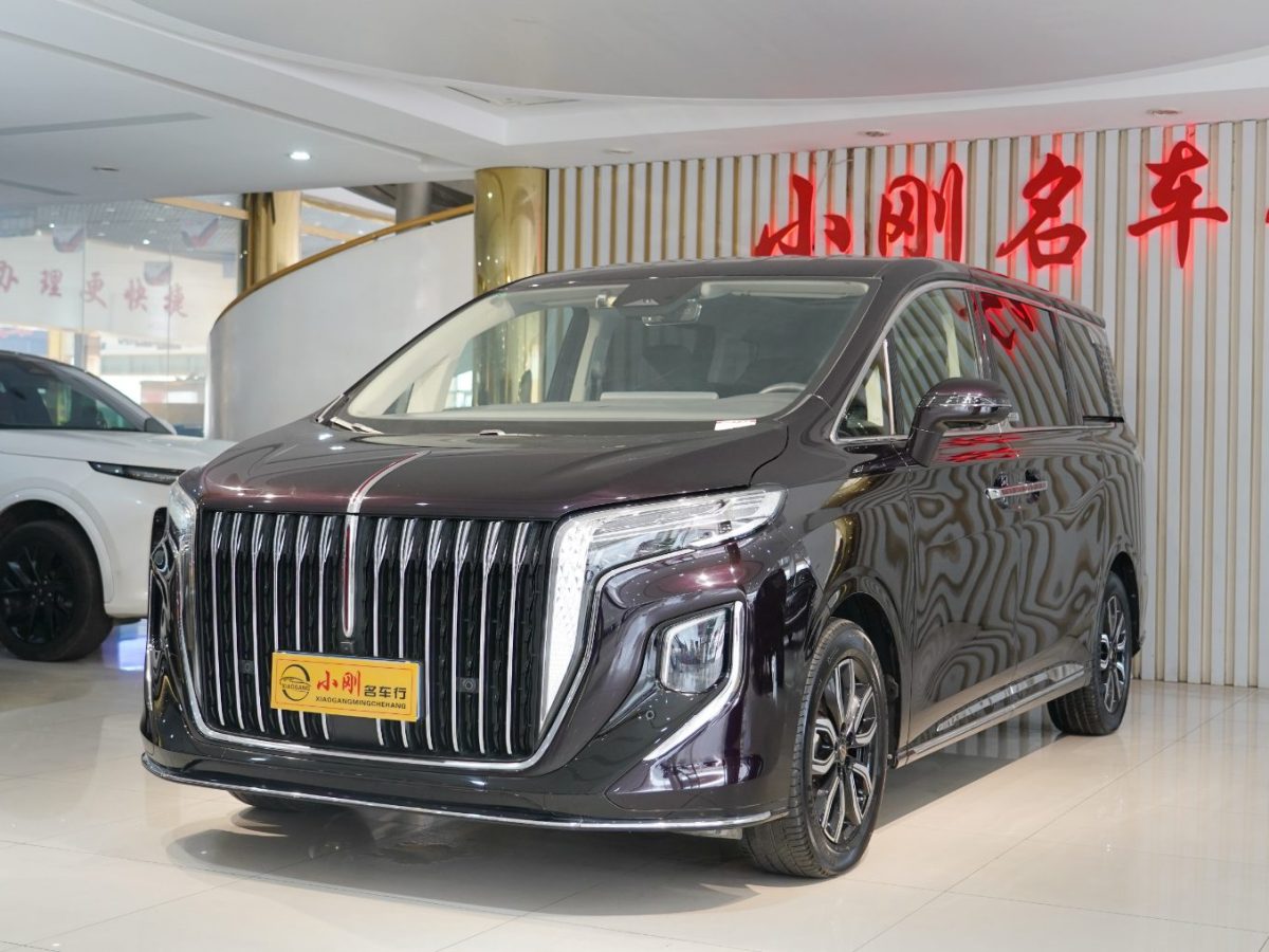 HongQi HQ9 2023 image de voiture #2
