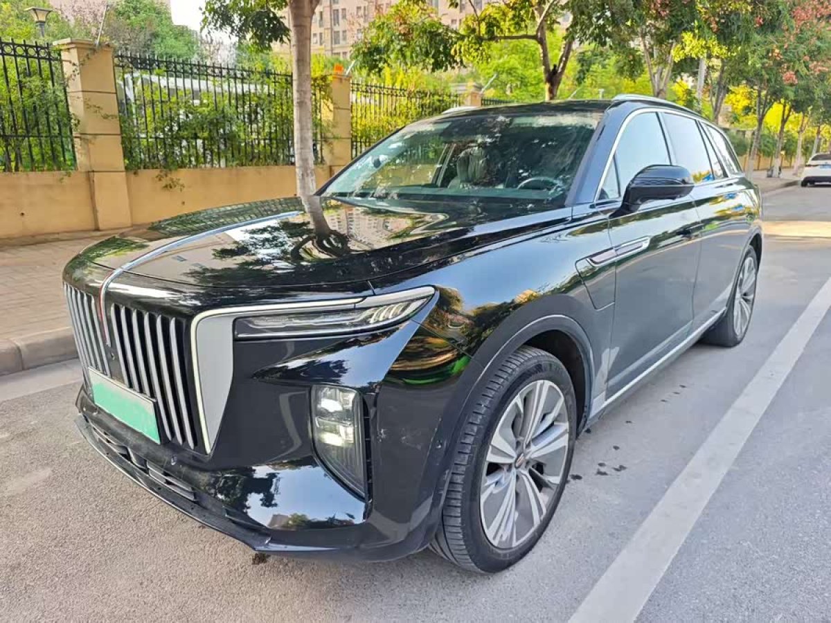 HongQi E-HS9 2022 car image #2