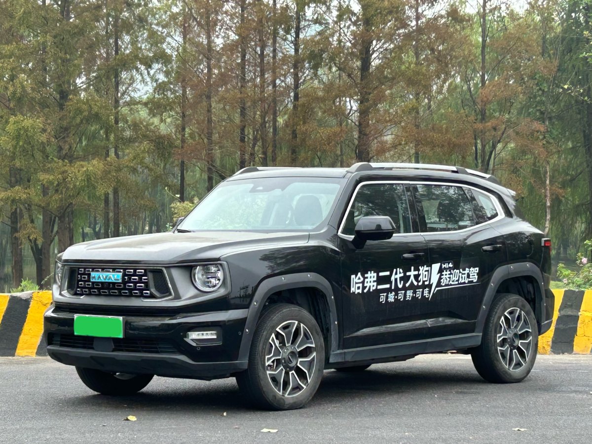Haval X Dog 2 New Energy 2024 car image #2
