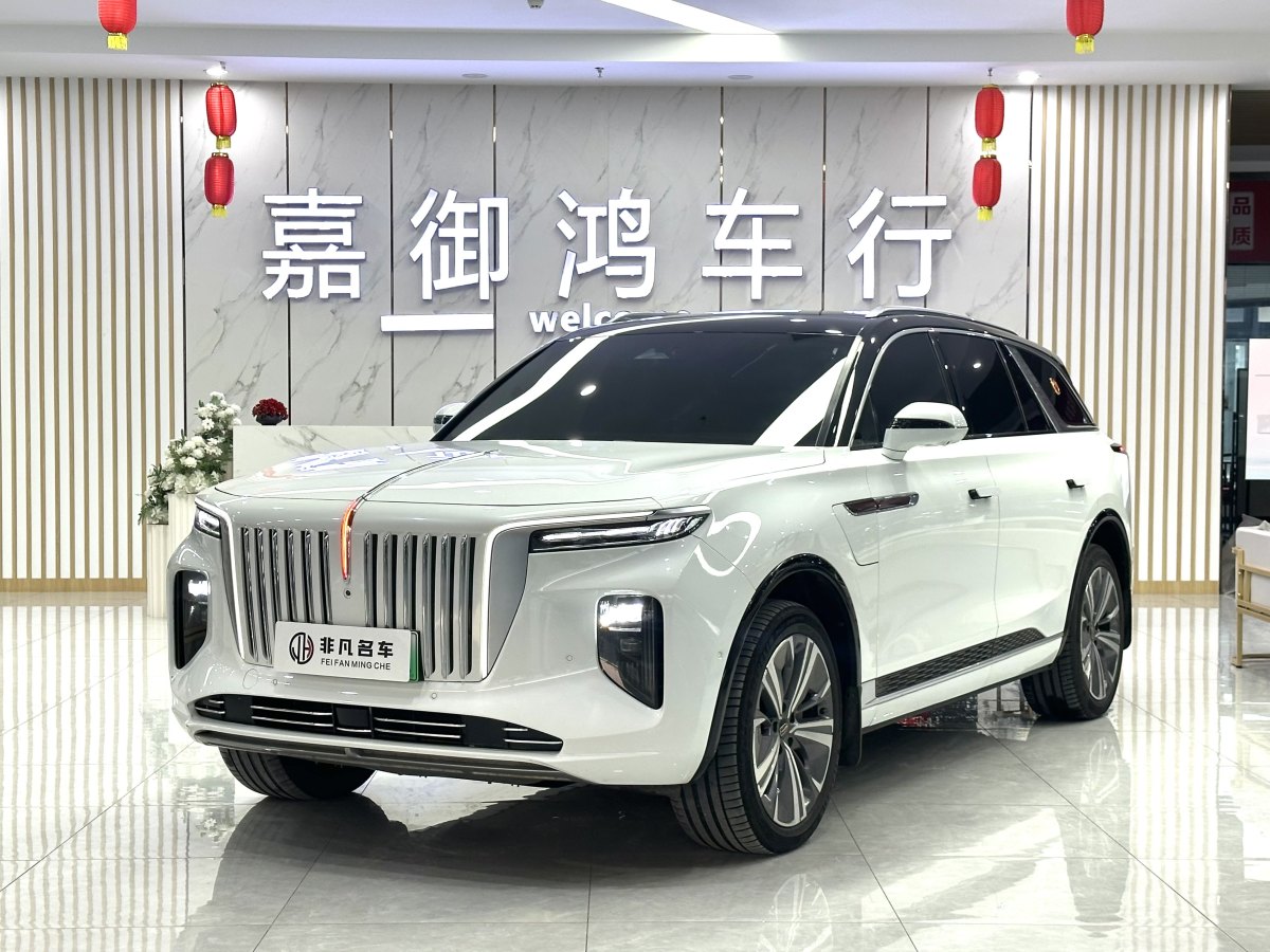 HongQi E-HS9 2021 #2 HongQi E-HS9 2021 car image #2