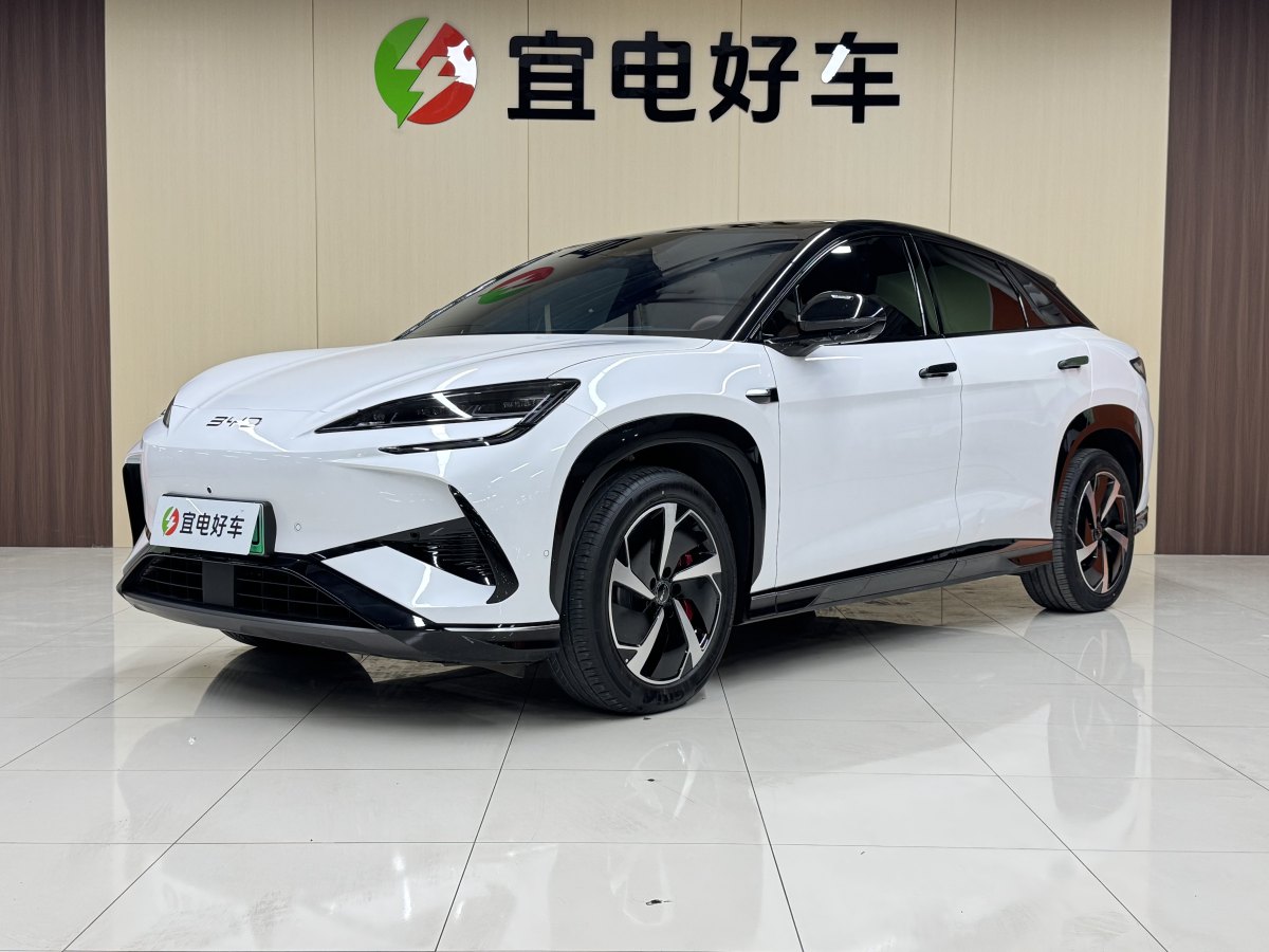 BYD Sea Lion 07 EV 2025 car image #2