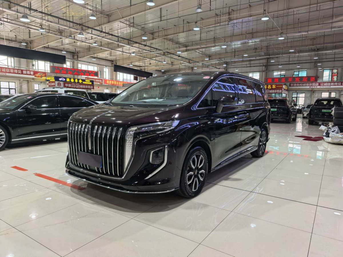HongQi HQ9 2023 immagine di auto #2