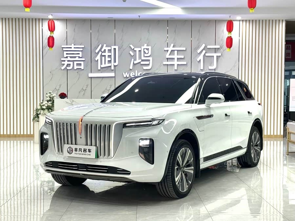 HongQi E-HS9 2021 #2 HongQi E-HS9 2021 immagine di auto #2