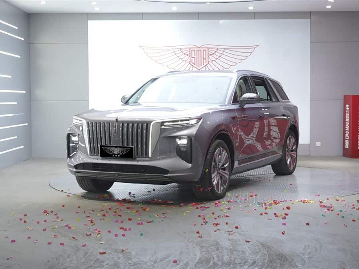 HongQi E-HS9 2023 car image #2