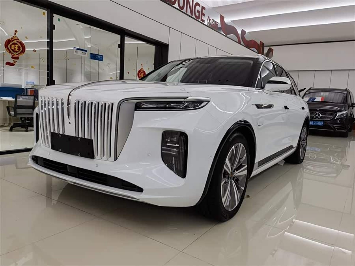HongQi E-HS9 2021 #2 HongQi E-HS9 2021 immagine di auto #2